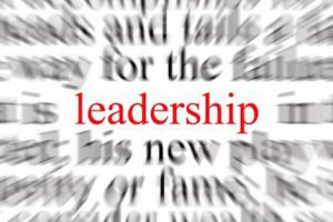 Leadership Lessons: Head, Heart or Groin